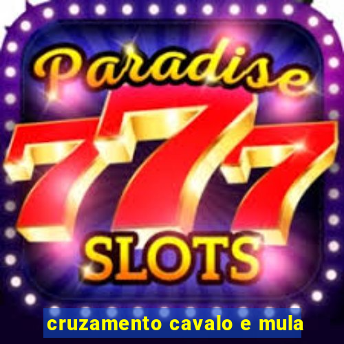 cruzamento cavalo e mula